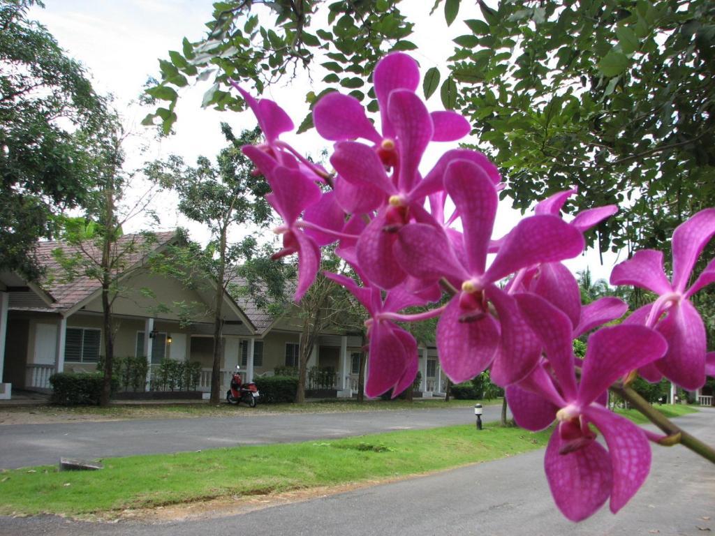 Krabi Flora Hotel Екстериор снимка